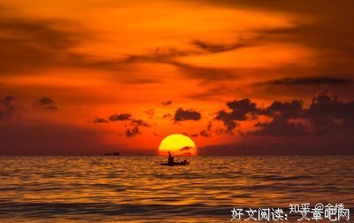 最全的《的里翅雀》小说摘抄