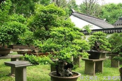 《中央公园五罪犯》观后感精选