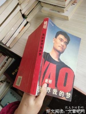 《我的世界我的梦》读后感1000字