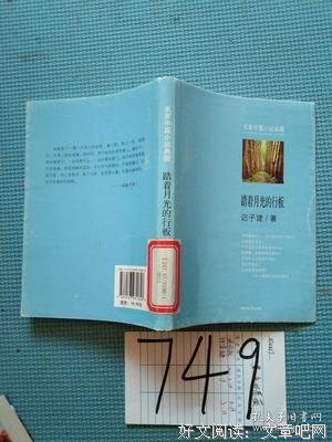 《踏着月光的行板》经典读后感有感