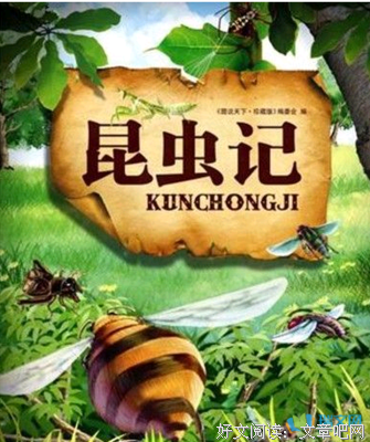 荷马史诗·伊利亚特读后感锦集