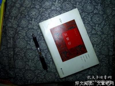 《红婴仔》读后感100字