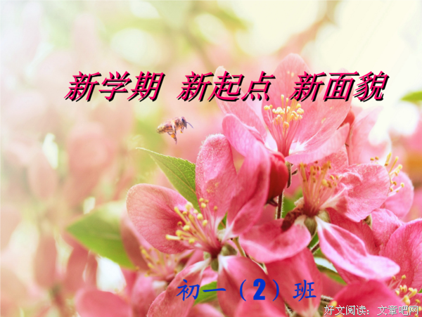 《天才引导的历程》读后感100字