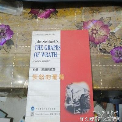 《愤怒的葡萄》读后感锦集