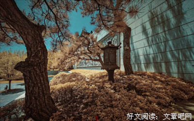 悲观的名言_关于悲观的名言