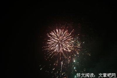 《她比烟花寂寞》读后感摘抄
