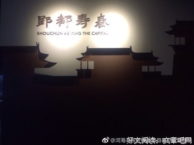 风声鹤唳经典读后感有感