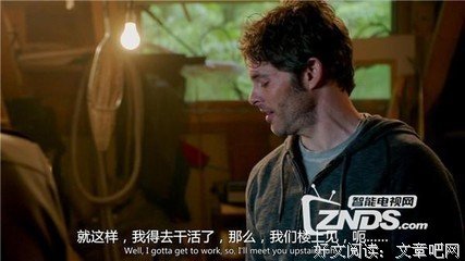 《嗜血灰熊》经典观后感集