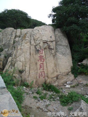 哭泣的骆驼的读后感大全