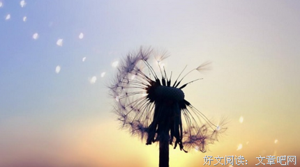 15条关于繁荣的经典语句