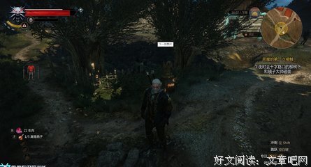 《半夜不要照镜子》经典观后感1000字