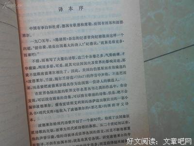 《恶之花 巴黎的忧郁》读后感摘抄