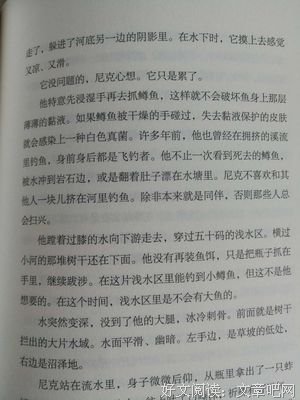 一片雪读后感锦集