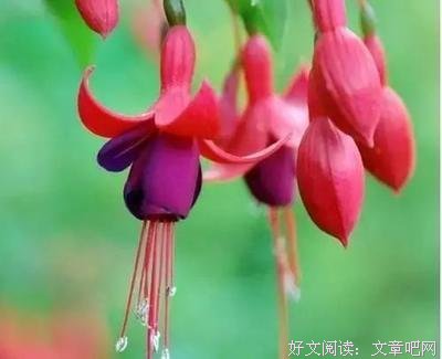 乱七八糟的优美句子