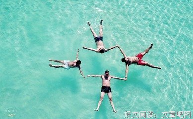 死海心如的鱼优美的句子