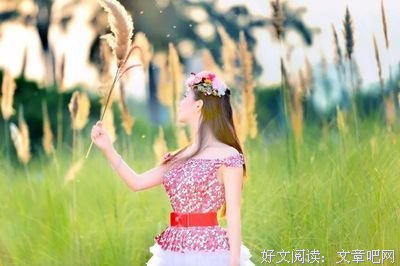《一一会红尘》的句子