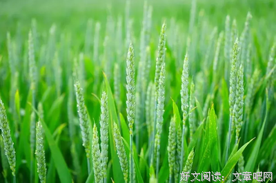 耐得住寂寞，守得住繁华句子