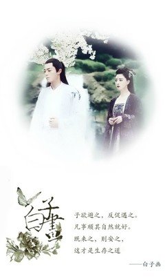 关于美美哒的优美句子