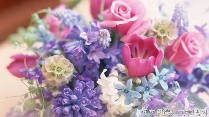 臨了的一縷陽光优美的句子