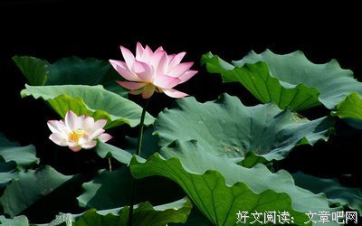 最全的潇然名言