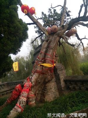 潘岳名言