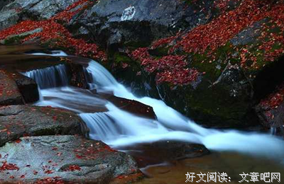 最全的《流年依旧，你我不他事好》经典句子大全
