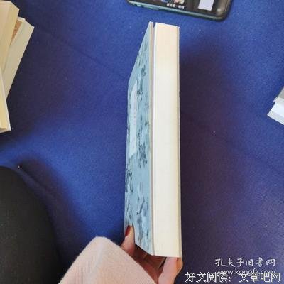 《上为到国出说把们谋生亦谋爱》好段摘抄