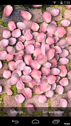 《花瓣舞》观后感精选
