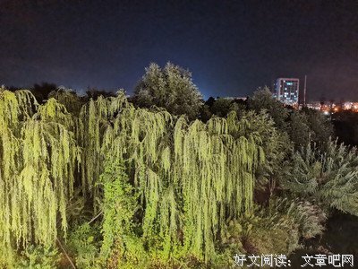《长梦不醒》经典观后感1000字