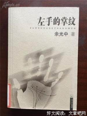 《左手的掌纹》读后感摘抄