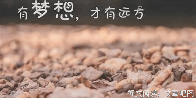 《狼的诱惑》的读后感大全