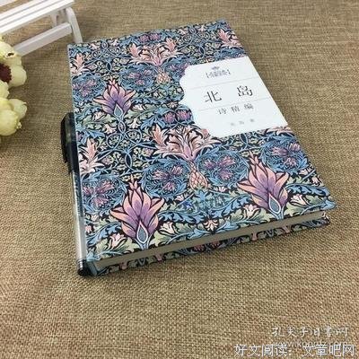 北岛诗歌集读后感精选
