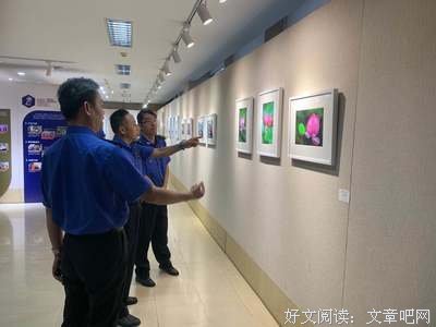 关于妖娆的格言