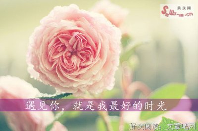 描写奋不顾身的语句摘抄