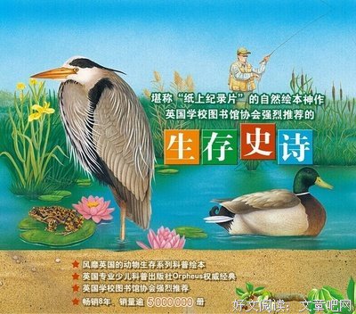 《梦溪笔谈》读后感1000字