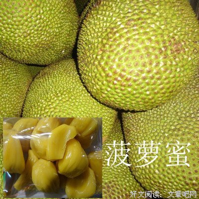 《雨季不再来》的读后感大全