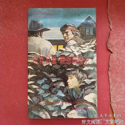 《哈克贝利·费恩历险记》经典读后感有感