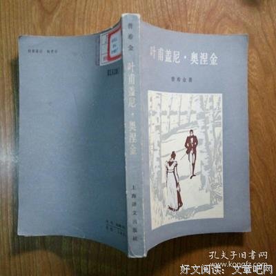 叶甫盖尼·奥涅金的读后感大全