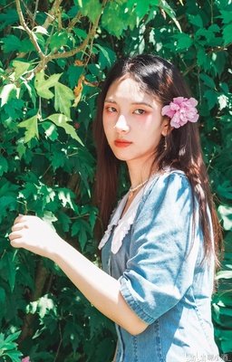 《盛装登场》经典影评有感