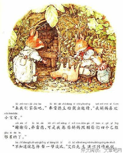 野蔷薇读后感100字