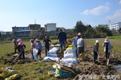 《观光路线》影评100字