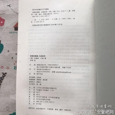 《亲爱的提奥》读后感1000字