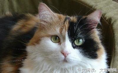 打中打中的正能量！名句欣赏