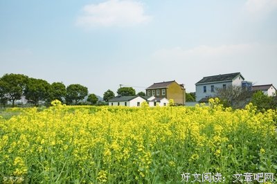 “我爱你”好词好句