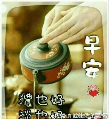 过开你句子大全