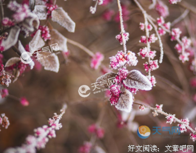 有关心有所感的句子