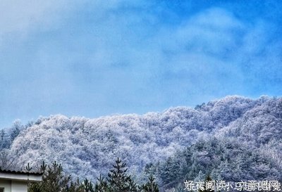 王充名言大全