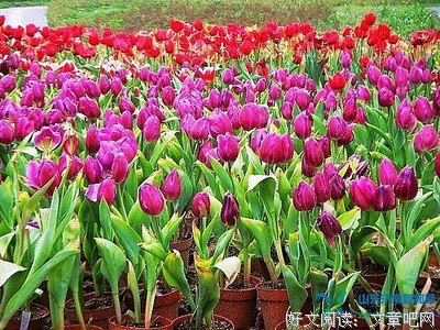最新的《好故了眼对大全集》好段摘抄