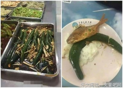 最全的《奇葩大学风能到》佳句摘抄