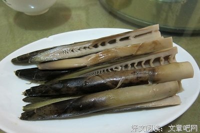 最经典的《妈子对事，竹子掉了》小说书摘大全